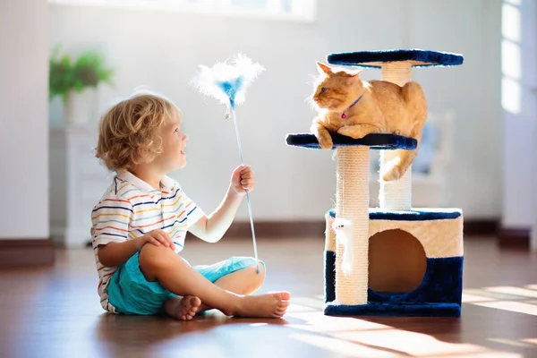 Niño Jugando Con Gato Casa Niños Mascotas Niño Pequeño Alimentando —  Fotos de Stock