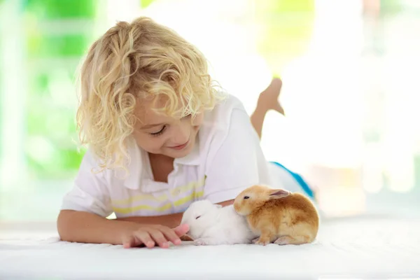 Child playing with white rabbit. Little boy feeding and petting white bunny. Easter celebration. Egg hunt with kid and pet animal. Children and animals. Kids take care of pets. Spring Easter garden.