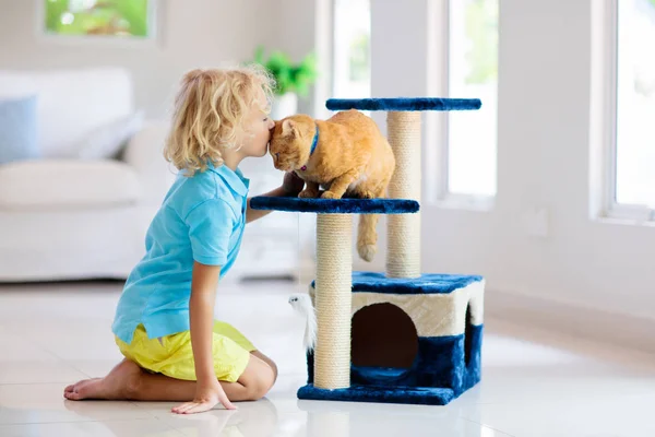 Enfant Jouant Avec Chat Maison Enfants Animaux Domestiques Petit Garçon — Photo