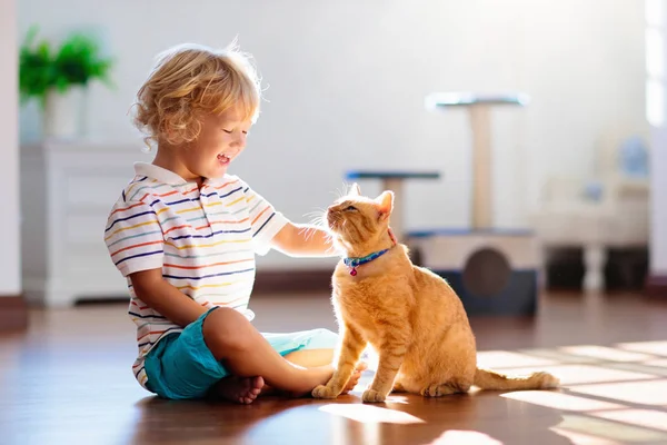 Niño Jugando Con Gato Casa Niños Mascotas Niño Pequeño Alimentando —  Fotos de Stock