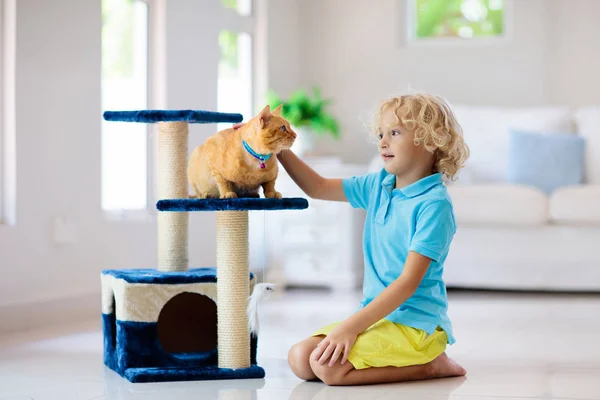 Enfant Jouant Avec Chat Maison Enfants Animaux Domestiques Petit Garçon — Photo