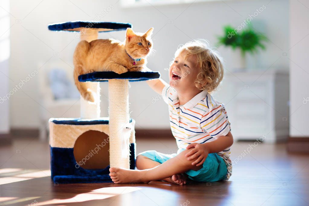 Child playing with cat at home. Kids and pets. Little boy feeding and petting cute ginger color cat. Cats tree and scratcher in living room interior. Children play and feed kitten. Home animals.