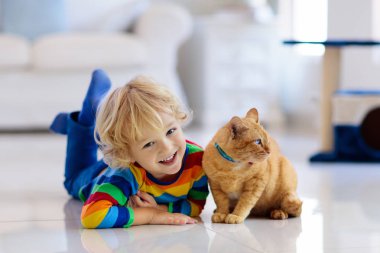 Evde kedi ile oynayan çocuk. Çocuklar ve evcil hayvanların.