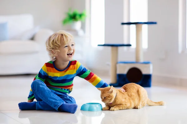 Παιδί που παίζει με τη γάτα στο σπίτι. Τα παιδιά και τα κατοικίδια ζώα. — Φωτογραφία Αρχείου