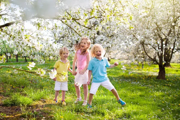 Bahar park çocuklar. Çocuk, çiçek kiraz ağacı — Stok fotoğraf