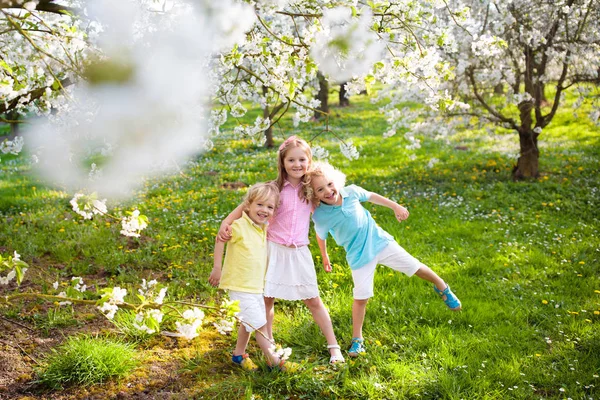 Bambini nel parco primaverile. Bambino a albero ciliegio fiorente — Foto Stock