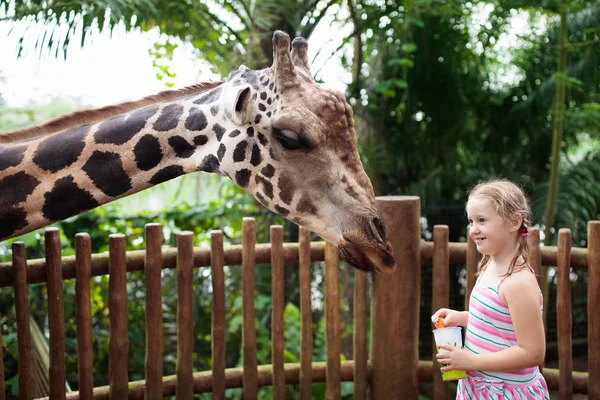 Kids feed giraffe at zoo. Children at safari park. — Stock Photo, Image