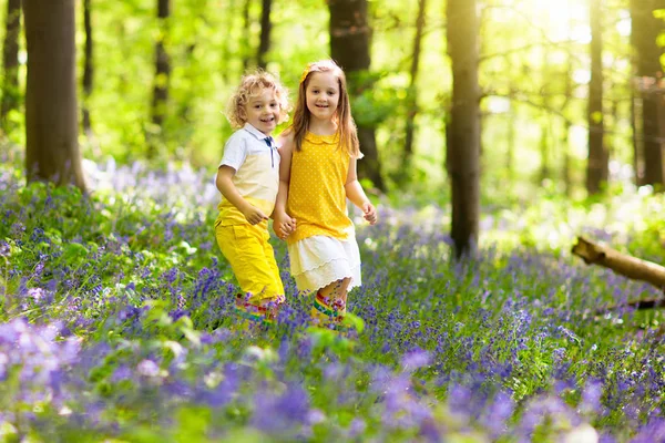 Kinderen in bluebell bos. Kinderen spelen in de park. — Stockfoto