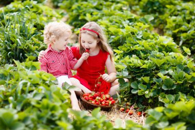 Çocuklar çilek berry sahada yaz aylarında Seç