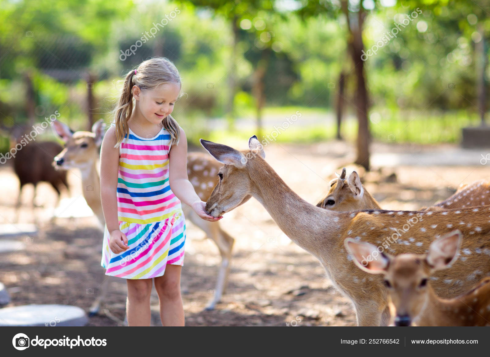 Child feeding wild deer at zoo. Kids feed animals. Stock Photo by ©FamVeldman 252766542 Child feeding wild deer at zoo. Kids feed animals. Stock Photo by ©FamVeldman 252766542