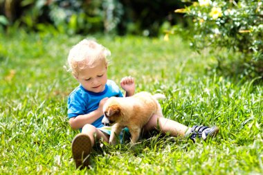 Çocuklar köpekle oynar. Çocuk ve köpek bahçe içinde.