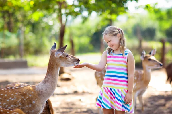 Ребенок кормит диких оленей в зоопарке. Дети кормили животных . — стоковое фото