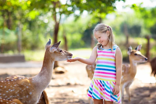 Child feeding wild deer at zoo. Kids feed animals. — Stock Photo, Image