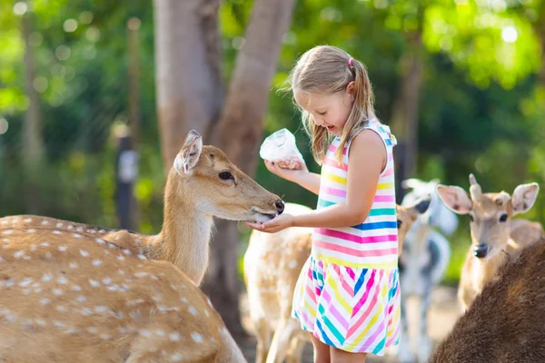 Niño alimentando ciervos salvajes en el zoológico. Niños alimentan animales . — Foto de Stock