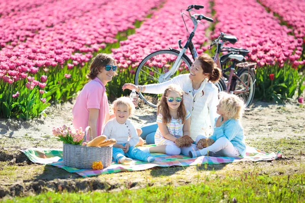 Familie picknick bij tulip bloem field, Holland — Stockfoto