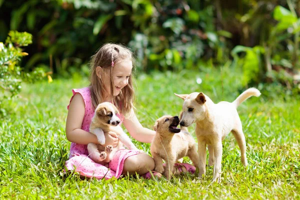 Los niños juegan con el cachorro. Niños y perros en el jardín . — Foto de Stock