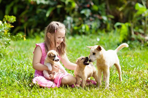 Kinderen spelen met puppy. Kinderen en honden in de tuin. — Stockfoto