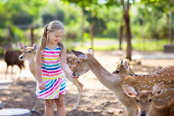 Child feeding wild deer at zoo. Kids feed animals. — Stock Photo, Image
