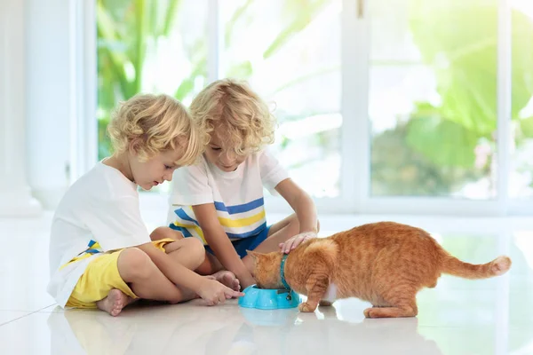 Gyermek etetése házi macska. Gyerekeim és háziállataik. — Stock Fotó