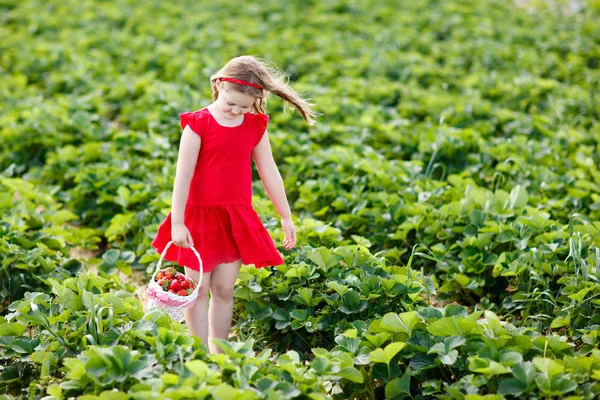 Kinderen halen aardbei op berry veld in de zomer — Stockfoto