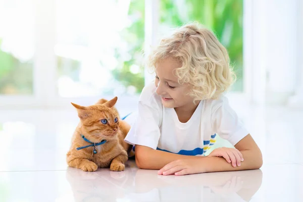 Child feeding home cat. Kids and pets. — Stock Photo, Image