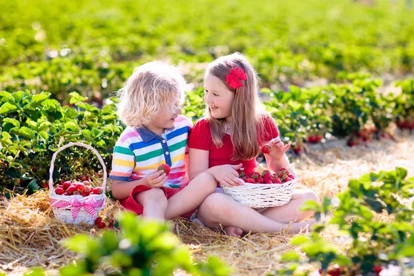 Crianças escolhem morango no campo de baga no verão — Fotografia de Stock