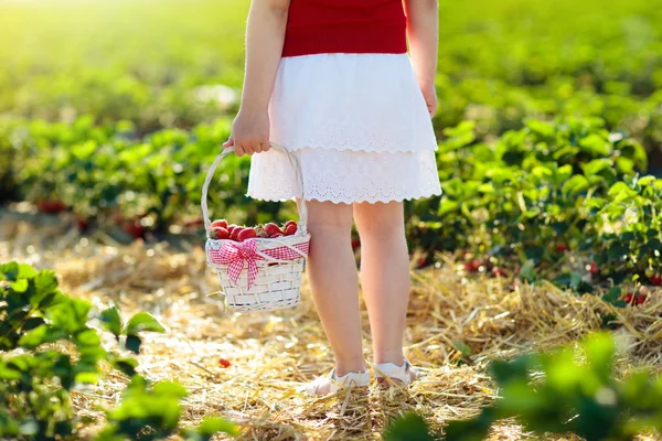 I bambini raccolgono la fragola sul campo di bacche in estate — Foto Stock