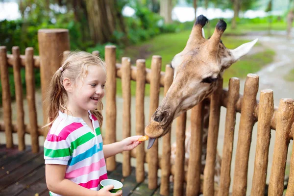 Kids feed giraffe at zoo. Children at safari park. — Stock Photo, Image