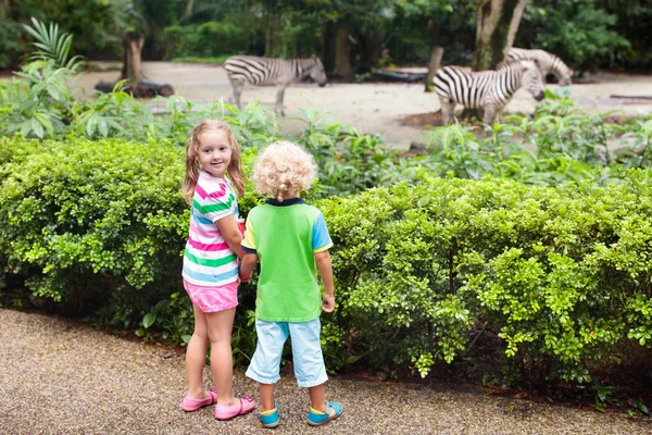 Anak-anak menonton zebra di kebun binatang. Anak-anak di taman safari . — Stok Foto