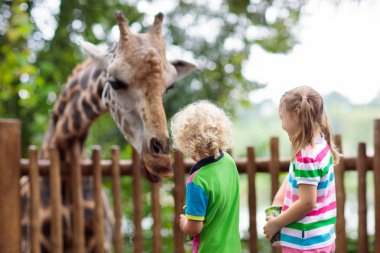 Çocuklar Hayvanat bahçesinde zürafa besleme. Çocuk safari Park.