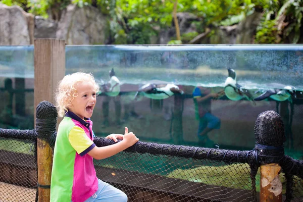 As crianças observam pinguim no zoológico. Criança no parque de safari . — Fotografia de Stock