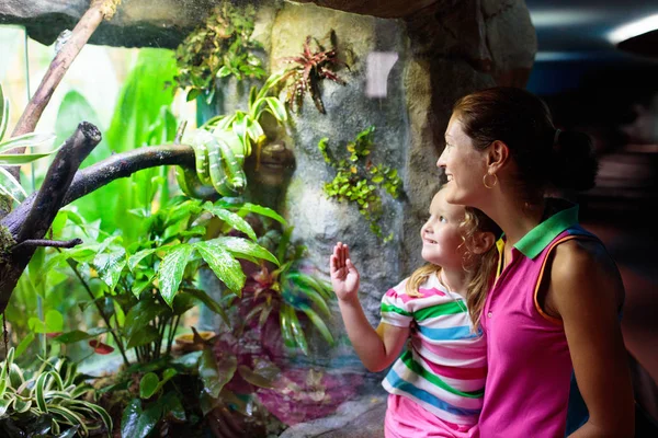 Rodzina oglądanie węża w zoo terrarium. — Zdjęcie stockowe