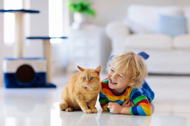 Evde kedi ile oynayan çocuk. Çocuklar ve evcil hayvanların.