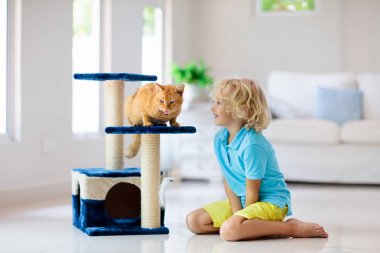 Evde kedi ile oynayan çocuk. Çocuklar ve evcil hayvanların.