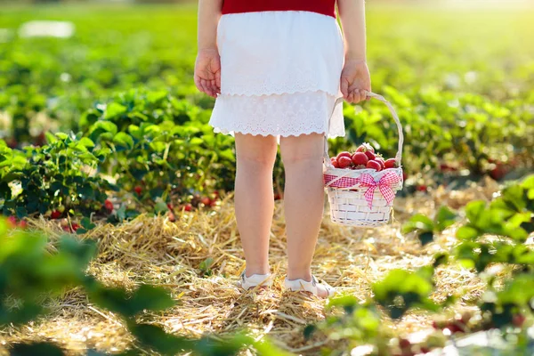 Crianças escolhem morango no campo de baga no verão — Fotografia de Stock