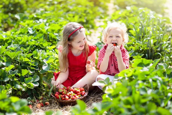 Kinderen halen aardbei op berry veld in de zomer — Stockfoto