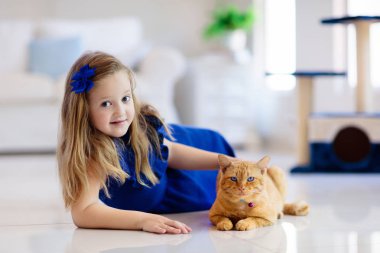 Evde kedi ile oynayan çocuk. Çocuklar ve evcil hayvanların.