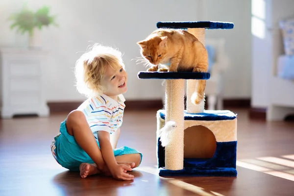 Evde kedi ile oynayan çocuk. Çocuklar ve evcil hayvanların. — Stok fotoğraf