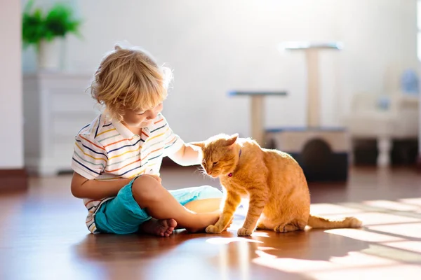 Kind spelen met kat thuis. Kinderen en huisdieren. — Stockfoto