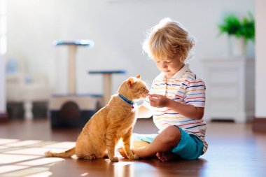 Child playing with cat at home. Kids and pets. clipart