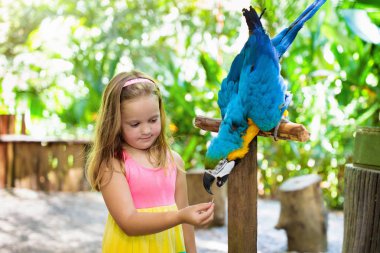 Macaw papağanı besleyen çocuklar. Kuşla oynayan çocuk