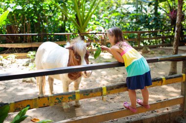Çocuk biniciatı. Çocuklar midilli binmek.