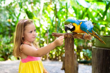Macaw papağanı besleyen çocuklar. Kuşla oynayan çocuk