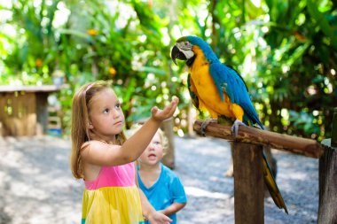 Macaw papağanı besleyen çocuklar. Kuşla oynayan çocuk