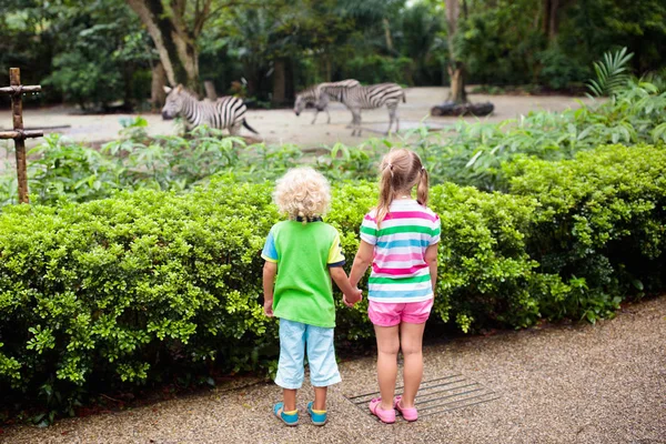 Los niños ven cebra en el zoológico. Niños en el parque de safari . — Foto de Stock