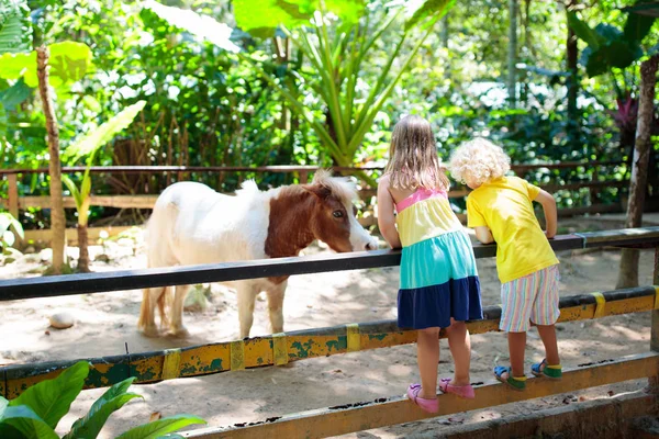 Bambino a cavallo. I bambini cavalcano pony . — Foto Stock