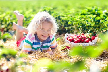Çocuklar çilek berry sahada yaz aylarında Seç