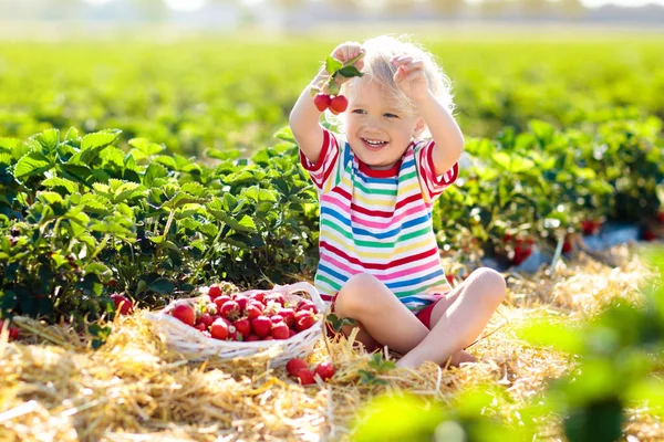 Crianças escolhem morango no campo de baga no verão — Fotografia de Stock