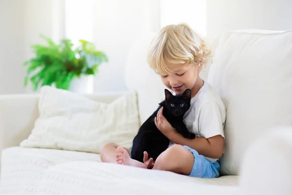 Niño jugando con gato bebé. Niño y gatito . — Foto de Stock