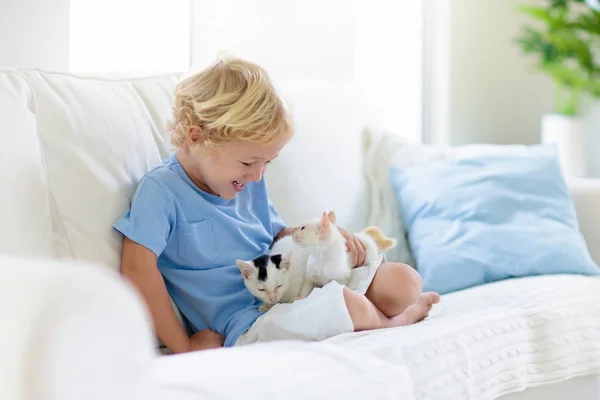 Barn leker med baby katt. Kid och kattunge. — Stockfoto